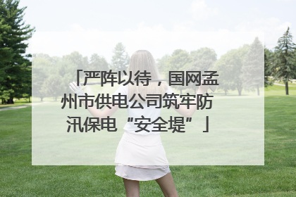 严阵以待，国网孟州市供电公司筑牢防汛保电“安全堤”