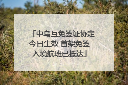 中乌互免签证协定今日生效 首架免签入境航班已抵达