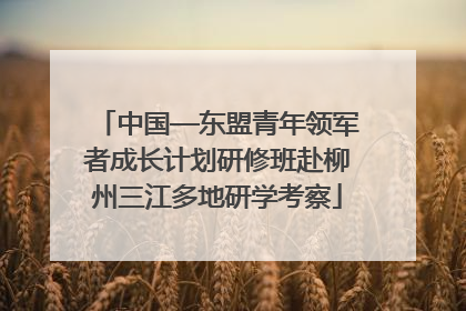 中国—东盟青年领军者成长计划研修班赴柳州三江多地研学考察