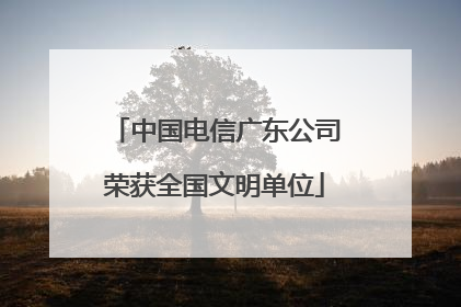 中国电信广东公司荣获全国文明单位