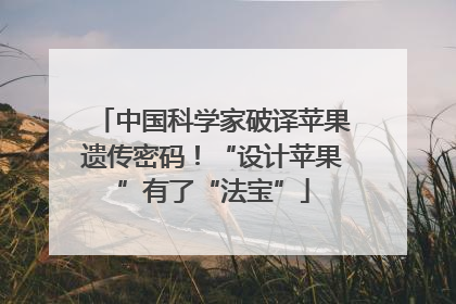 中国科学家破译苹果遗传密码！“设计苹果”有了“法宝”