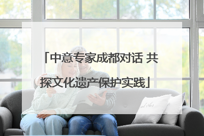 中意专家成都对话 共探文化遗产保护实践