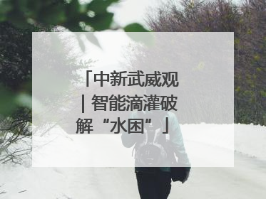 中新武威观｜智能滴灌破解“水困”