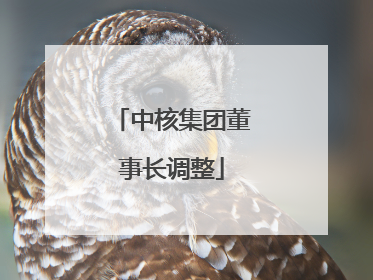中核集团董事长调整