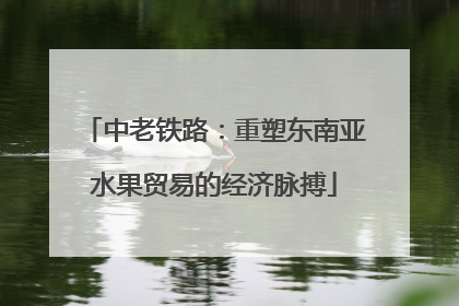 中老铁路：重塑东南亚水果贸易的经济脉搏
