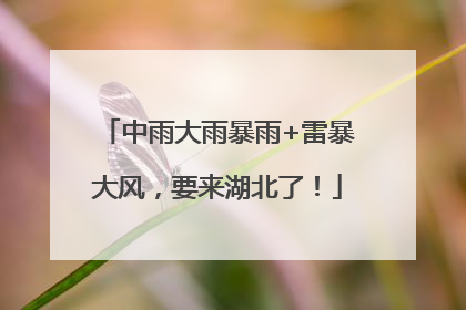 中雨大雨暴雨+雷暴大风，要来湖北了！
