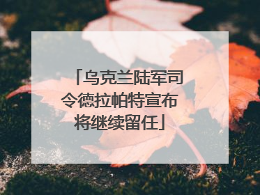 乌克兰陆军司令德拉帕特宣布将继续留任