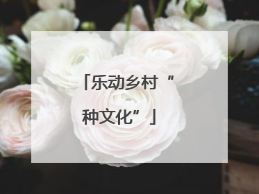 乐动乡村“种文化”
