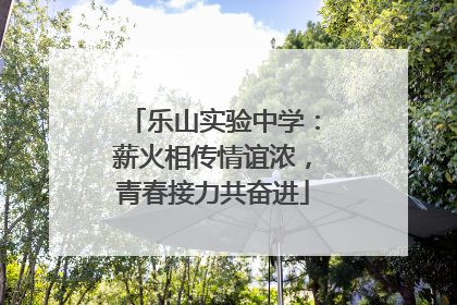 乐山实验中学：薪火相传情谊浓，青春接力共奋进