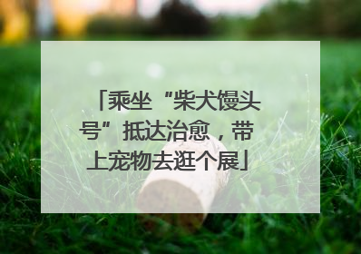 乘坐“柴犬馒头号”抵达治愈，带上宠物去逛个展