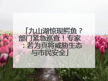 九山湖惊现鳄鱼？部门紧急巡查！专家：若为真将威胁生态与市民安全