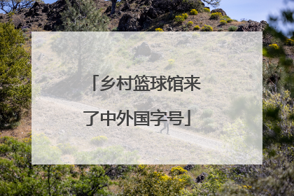 乡村篮球馆来了中外国字号