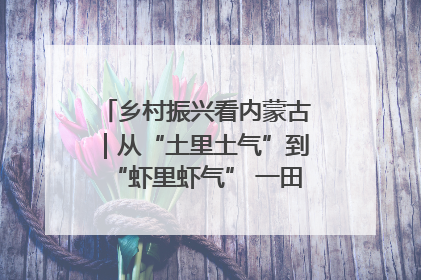 乡村振兴看内蒙古｜从“土里土气”到“虾里虾气” 一田双收模式火出圈