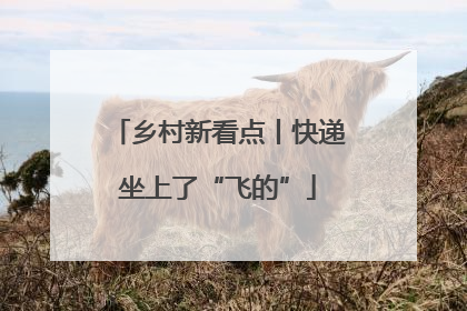 乡村新看点丨快递坐上了“飞的”