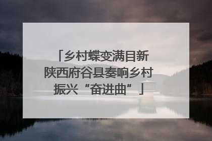 乡村蝶变满目新 陕西府谷县奏响乡村振兴“奋进曲”