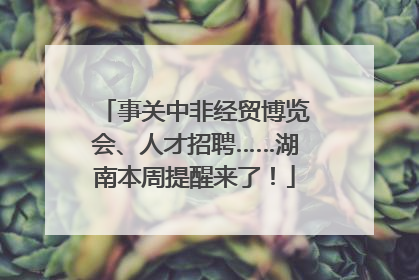 事关中非经贸博览会、人才招聘……湖南本周提醒来了！