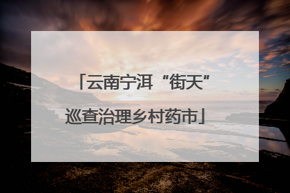 云南宁洱“街天”巡查治理乡村药市