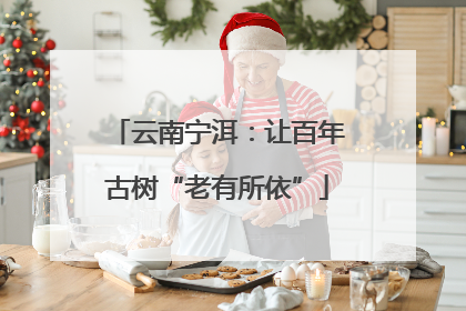 云南宁洱：让百年古树“老有所依”