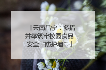 云南昌宁：多措并举筑牢校园食品安全“防护墙”
