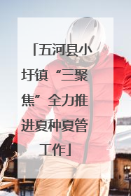 五河县小圩镇“三聚焦”全力推进夏种夏管工作