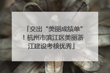 交出“美丽成绩单”！杭州市滨江区美丽浙江建设考核优秀