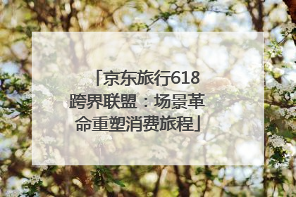 京东旅行618跨界联盟：场景革命重塑消费旅程