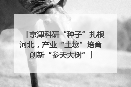 京津科研“种子”扎根河北，产业“土壤”培育创新“参天大树”