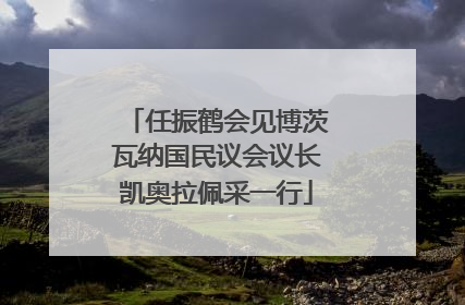 任振鹤会见博茨瓦纳国民议会议长凯奥拉佩采一行