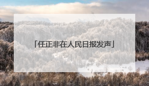 任正非在人民日报发声