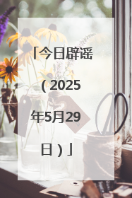 今日辟谣（2025年5月29日）