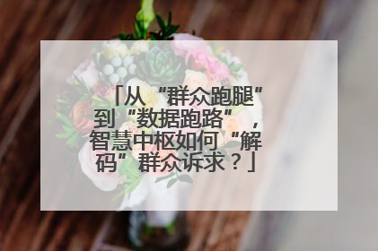从“群众跑腿”到“数据跑路”，智慧中枢如何“解码”群众诉求？