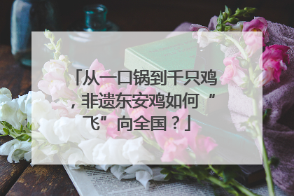 从一口锅到千只鸡，非遗东安鸡如何“飞”向全国？