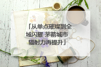 从单点璀璨到全域闪耀 茅箭城市辐射力再提升