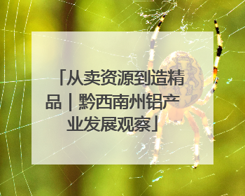 从卖资源到造精品｜黔西南州铝产业发展观察