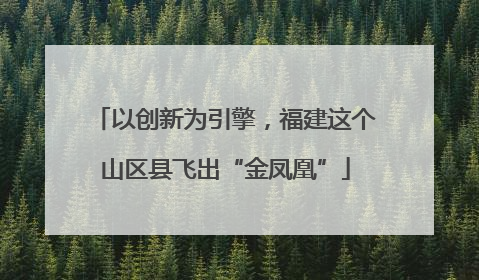 以创新为引擎，福建这个山区县飞出“金凤凰”