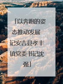 以奔跑的姿态推动发展 记安吉县孝丰镇党委书记沈强