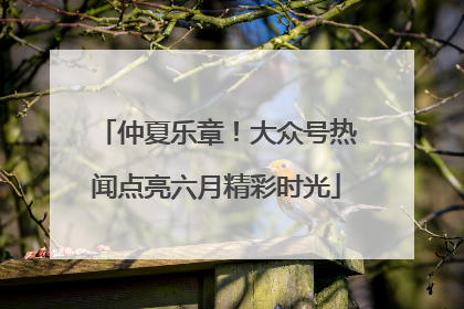 仲夏乐章！大众号热闻点亮六月精彩时光