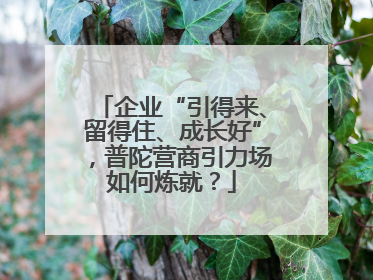 企业“引得来、留得住、成长好”，普陀营商引力场如何炼就？