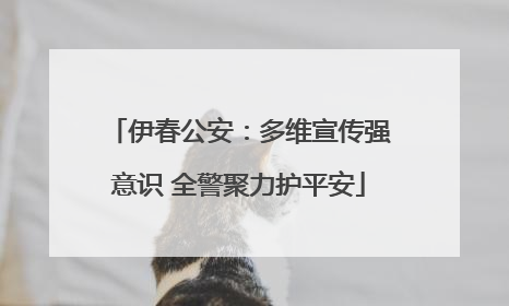 伊春公安：多维宣传强意识 全警聚力护平安