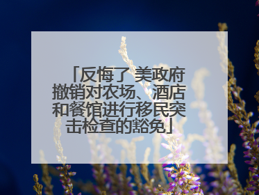 反悔了 美政府撤销对农场、酒店和餐馆进行移民突击检查的豁免