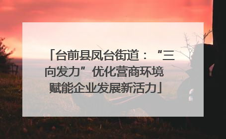 台前县凤台街道：“三向发力”优化营商环境 赋能企业发展新活力