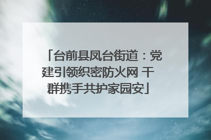 台前县凤台街道：党建引领织密防火网 干群携手共护家园安