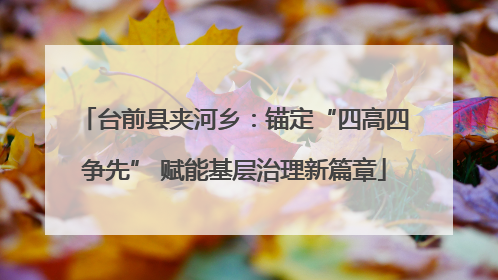 台前县夹河乡：锚定“四高四争先” 赋能基层治理新篇章