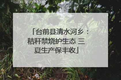 台前县清水河乡：秸秆禁烧护生态 三夏生产保丰收