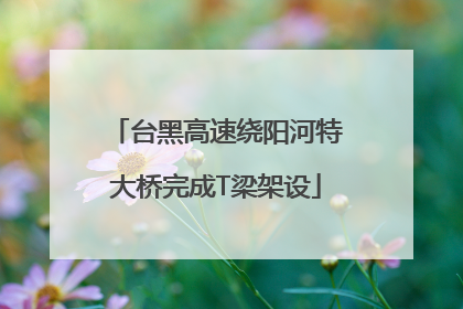 台黑高速绕阳河特大桥完成T梁架设