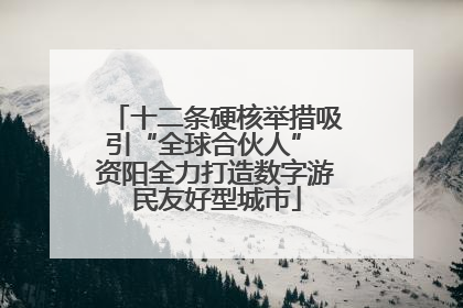 十二条硬核举措吸引“全球合伙人” 资阳全力打造数字游民友好型城市