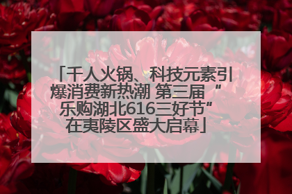 千人火锅、科技元素引爆消费新热潮 第三届“乐购湖北616三好节”在夷陵区盛大启幕
