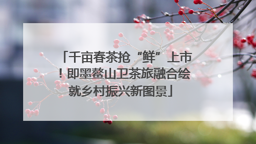 千亩春茶抢“鲜”上市！即墨鳌山卫茶旅融合绘就乡村振兴新图景