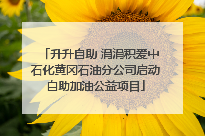 升升自助 涓涓积爱中石化黄冈石油分公司启动自助加油公益项目