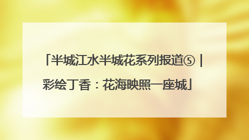 半城江水半城花系列报道⑤｜彩绘丁香：花海映照一座城